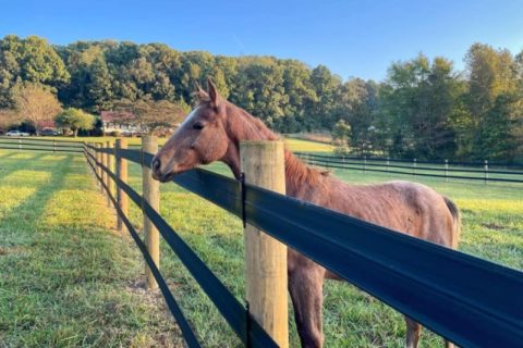 Pasture Pride Fence and Farm Services Project 5